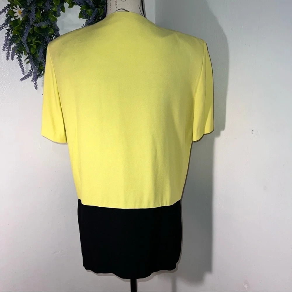 Sheri Martin, 10, Vintage, embroidered, drop waist, padded, side vent tunic - Picture 4 of 6